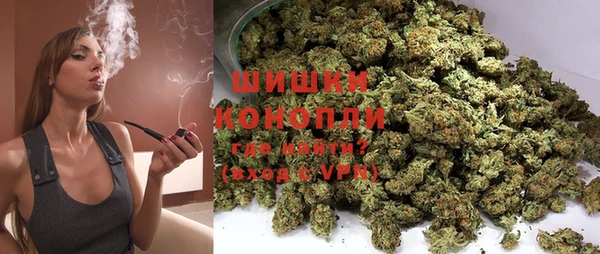 PSILOCYBIN Армянск