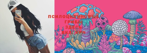 PSILOCYBIN Армянск