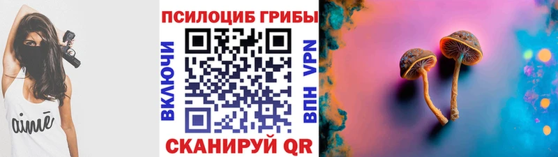 Псилоцибиновые грибы Psilocybe  Купить  Фролово 