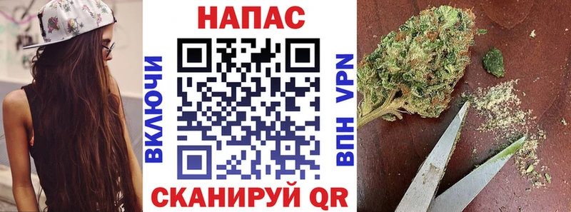 Купить  Фролово  МАРИХУАНА сатива 